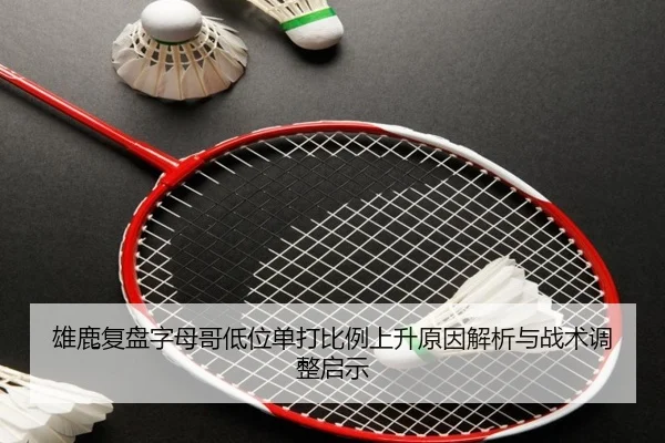 雄鹿复盘字母哥低位单打比例上升原因解析与战术调整启示 | pg